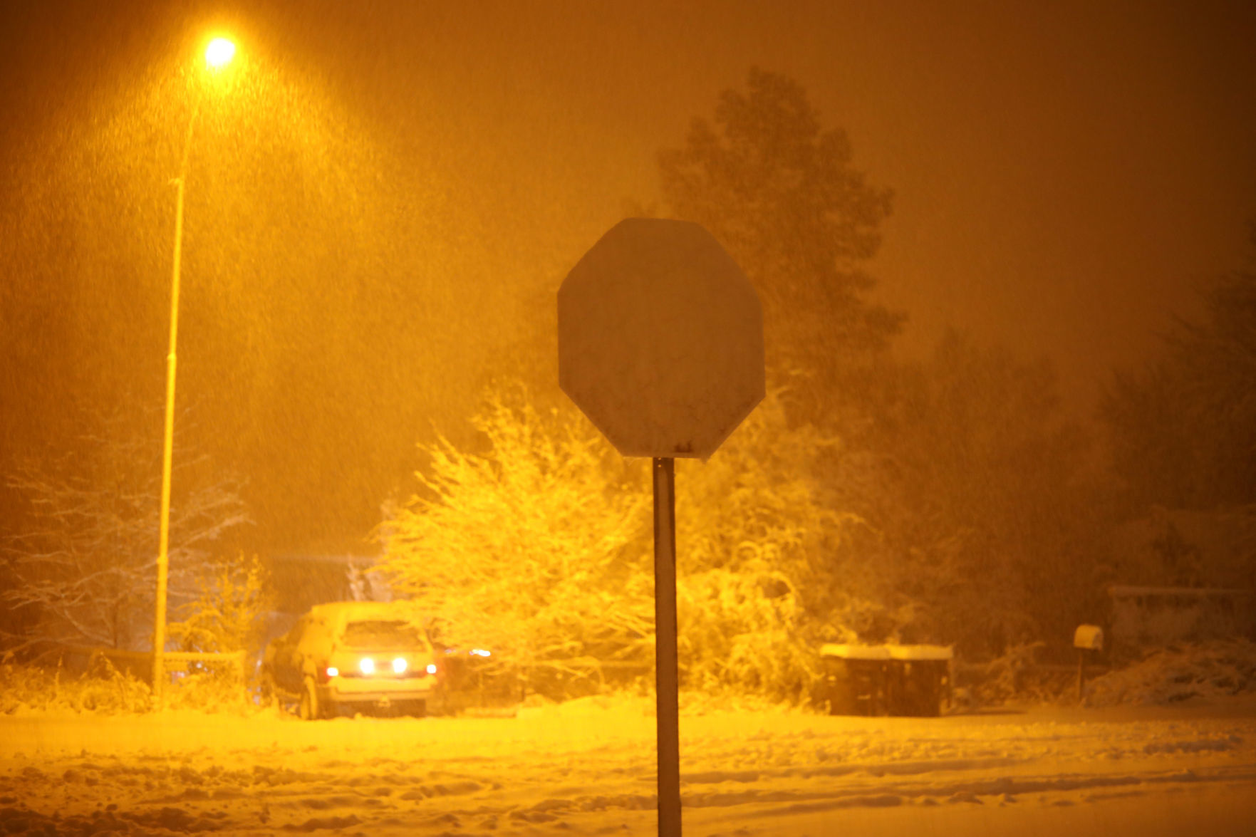 Black Friday snow